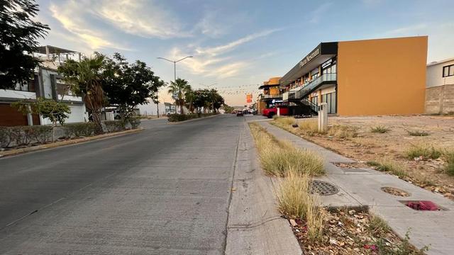 Foto de la galeria de imagenes