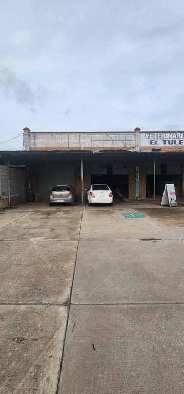 Foto de la galeria de imagenes